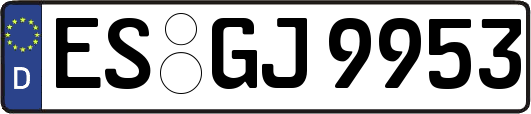 ES-GJ9953