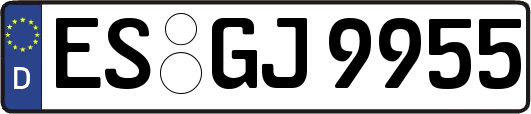 ES-GJ9955