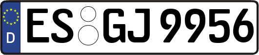 ES-GJ9956
