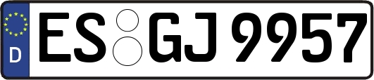 ES-GJ9957