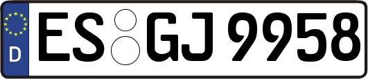 ES-GJ9958