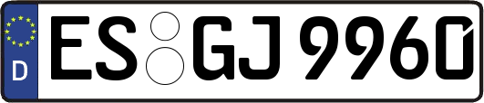 ES-GJ9960