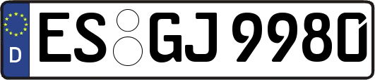 ES-GJ9980