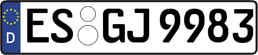 ES-GJ9983