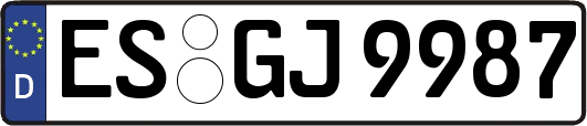 ES-GJ9987