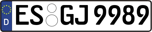 ES-GJ9989