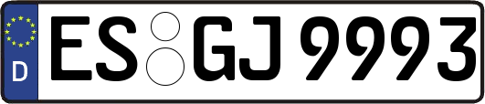 ES-GJ9993