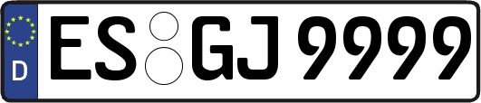 ES-GJ9999