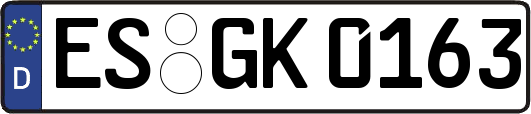 ES-GK0163
