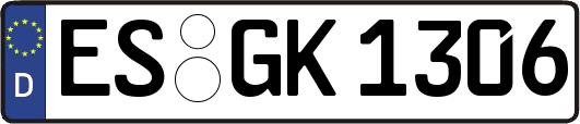 ES-GK1306