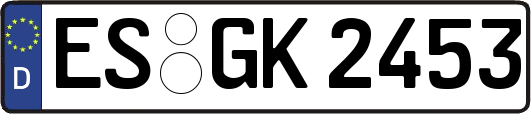 ES-GK2453
