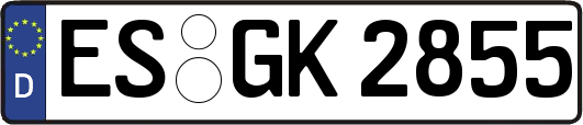 ES-GK2855