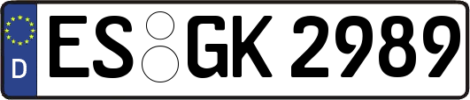 ES-GK2989