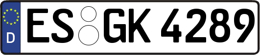 ES-GK4289