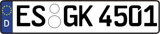 ES-GK4501