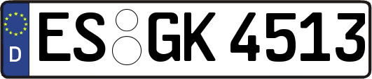 ES-GK4513