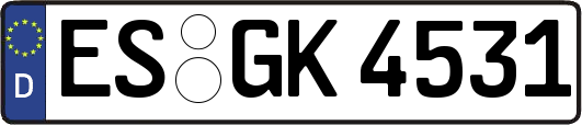 ES-GK4531