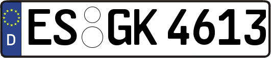 ES-GK4613