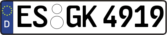 ES-GK4919