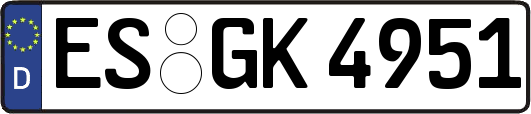 ES-GK4951