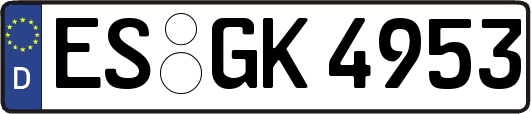 ES-GK4953