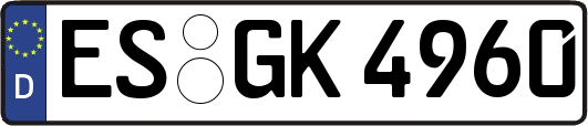 ES-GK4960