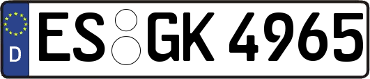 ES-GK4965