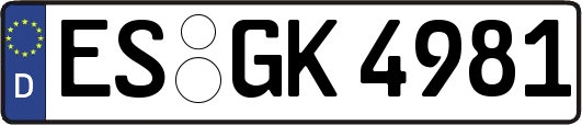 ES-GK4981