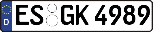 ES-GK4989