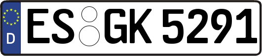ES-GK5291