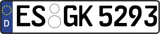 ES-GK5293