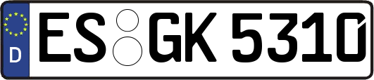 ES-GK5310