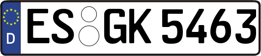 ES-GK5463