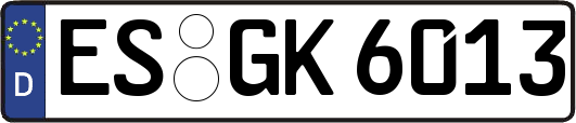 ES-GK6013