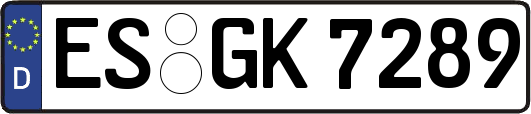 ES-GK7289
