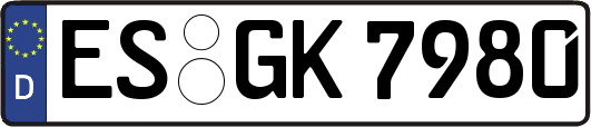 ES-GK7980