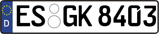 ES-GK8403