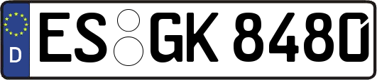 ES-GK8480