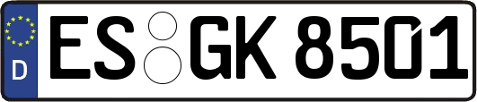 ES-GK8501