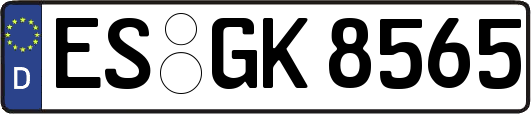 ES-GK8565