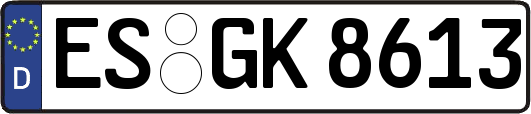 ES-GK8613