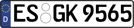 ES-GK9565