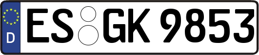 ES-GK9853