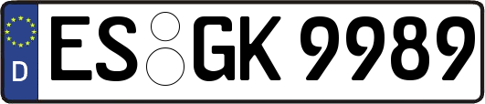 ES-GK9989