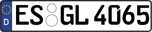 ES-GL4065