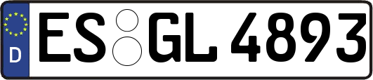 ES-GL4893