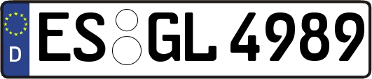 ES-GL4989