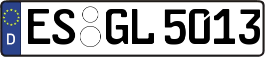 ES-GL5013