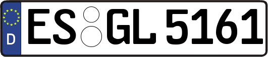 ES-GL5161