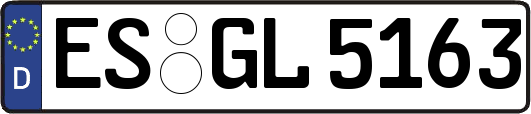ES-GL5163